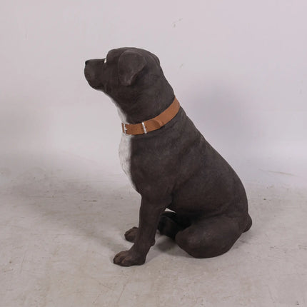 English Staffordshire Life Size Statue LM Treasures - H