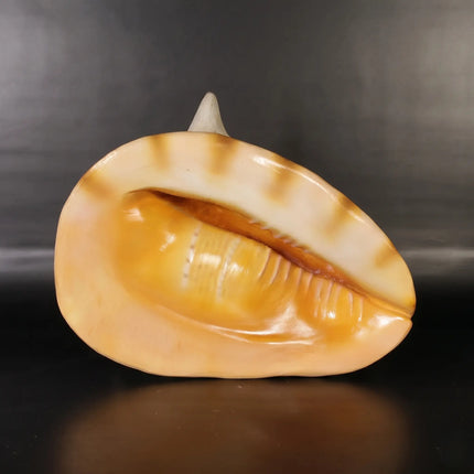 Helmet Shell Life Size Statue