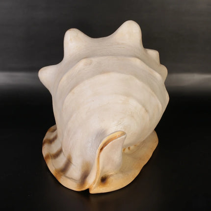 Helmet Shell Life Size Statue