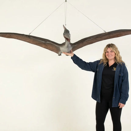 Baby Pteranodon Dinosaur Life Size Statue