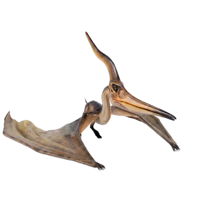 Pteranodon Ingens Dinosaur Life Size Statue LM Treasures - H