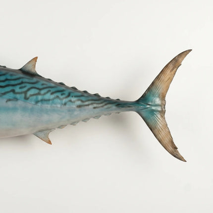 Mackerel Tuna Statue LM Treasures - H