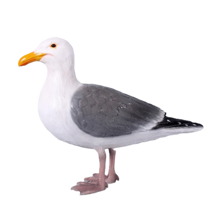 Seagull Life Size Statue LM Treasures - H