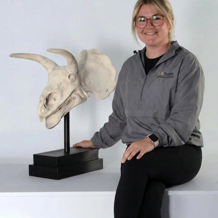 Triceratops Dinosaur Skull Statue LM Treasures - H