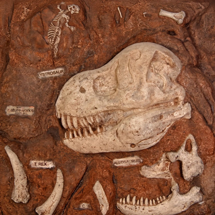 Dinosaur Fossil Dig Life Size Statue LM Treasures - H