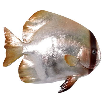 Batfish Statue LM Treasures - H
