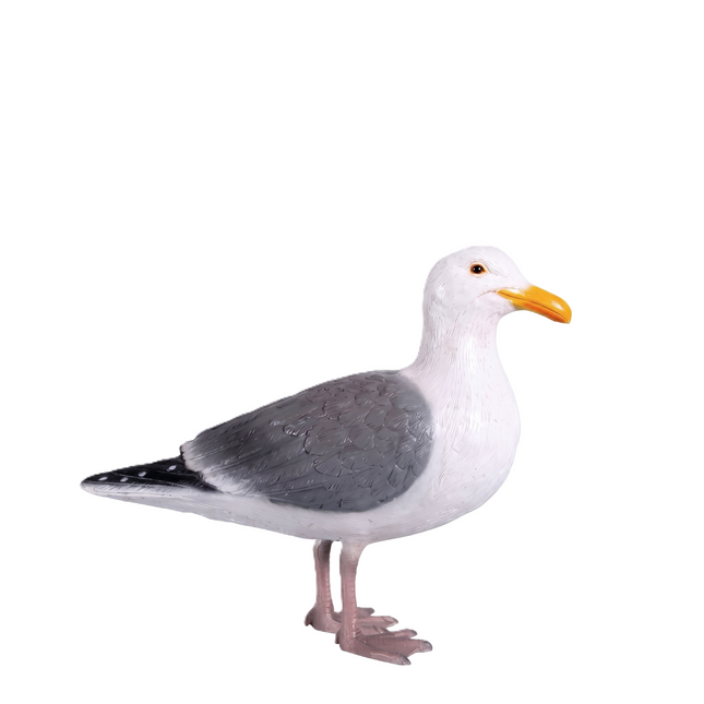 Seagull Life Size Statue LM Treasures - H