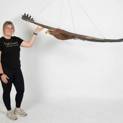 Wedge Tailed Eagle Life Size Statue LM Treasures - H