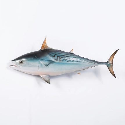 Mackerel Tuna Statue LM Treasures - H
