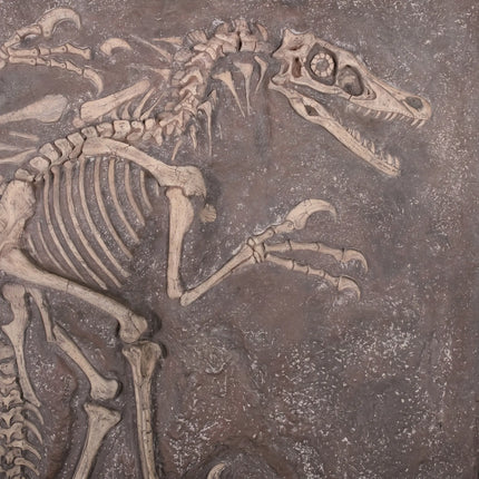 Velociraptor Dinosaur Fossil Dig Life Size Statue