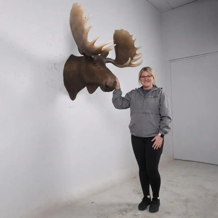 Moose Head Life Size Statue LM Treasures - H