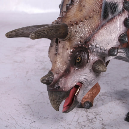 Baby Triceratops Dinosaur With Saddle Statue LM Treasures - H