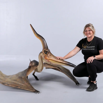 Pteranodon Ingens Dinosaur Life Size Statue