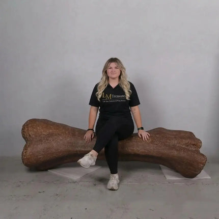 Titanosaur Femur Dinosaur Bone Life Size Statue LM Treasures - H