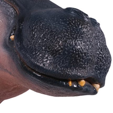 Large Hippo Head Life Size Statue LM Treasures - H