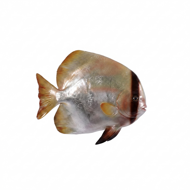 Batfish Statue LM Treasures - H