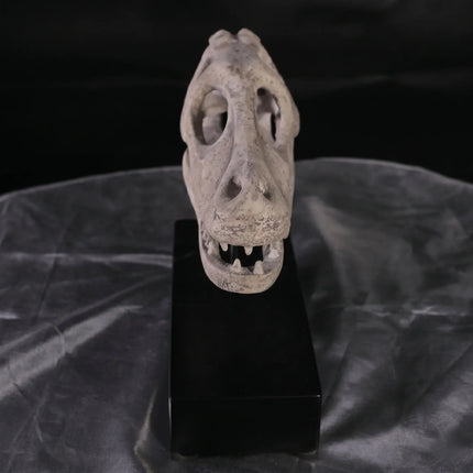 Raptor Dinosaur Skull Life Size Statue