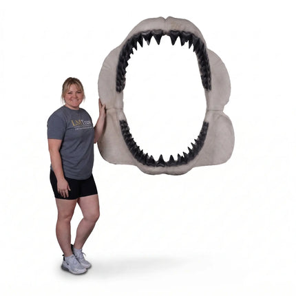 Hanging Megalodon Shark Jaw Statue LM Treasures - H