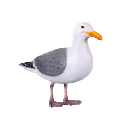 Seagull Life Size Statue LM Treasures - H