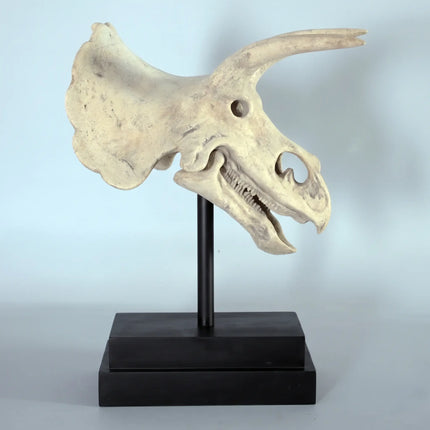 Triceratops Dinosaur Skull Statue
