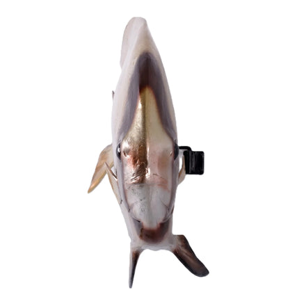 Batfish Statue LM Treasures - H