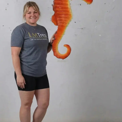 Medium Orange Seahorse Statue LM Treasures - H
