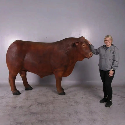 Angus Bull Life Size Statue LM Treasures - H