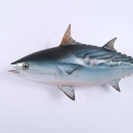 Mackerel Tuna Statue LM Treasures - H