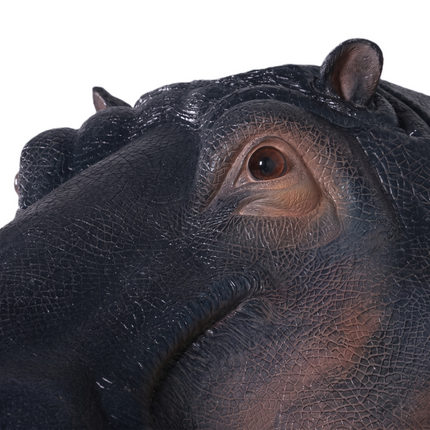 Large Hippo Head Life Size Statue LM Treasures - H
