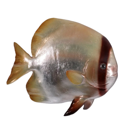 Batfish Statue LM Treasures - H