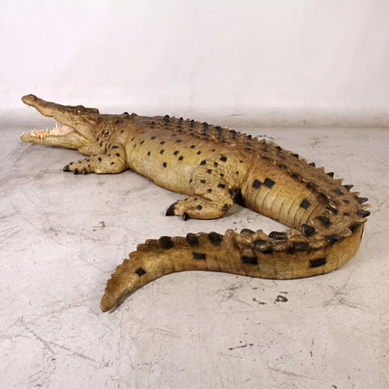 Crocodile Mouth Open Life Size Statue
