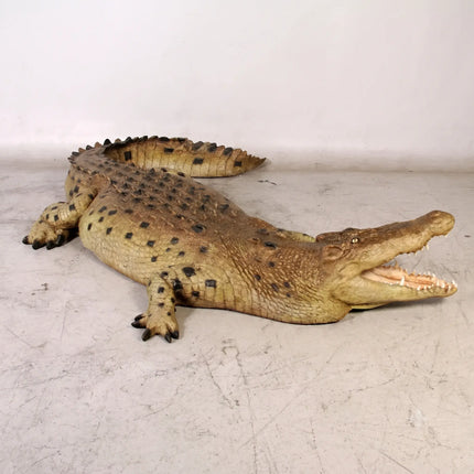 Crocodile Mouth Open Life Size Statue