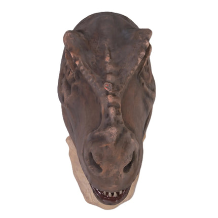 T-Rex Dinosaur Head Large Life Size Statue LM Treasures - H