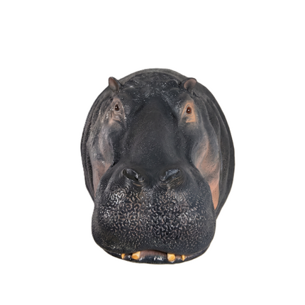 Large Hippo Head Life Size Statue LM Treasures - H