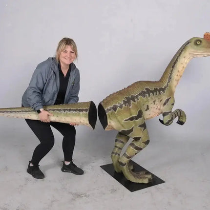 Dilong Paradoxus Dinosaur Life Size Statue LM Treasures - H