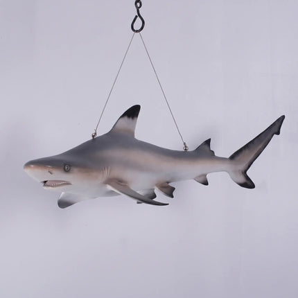 Black Tip Shark Statue LM Treasures - H