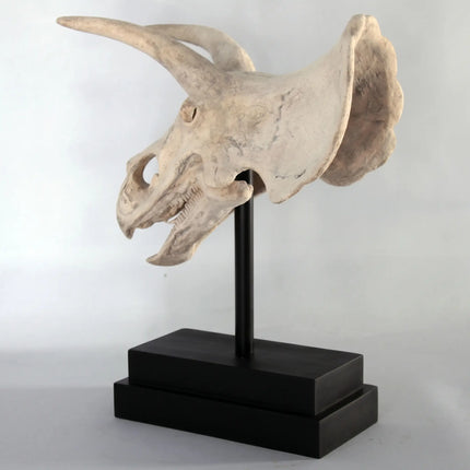 Triceratops Dinosaur Skull Statue