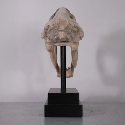 Saber Tooth Tiger Skull Life Size Statue LM Treasures - H