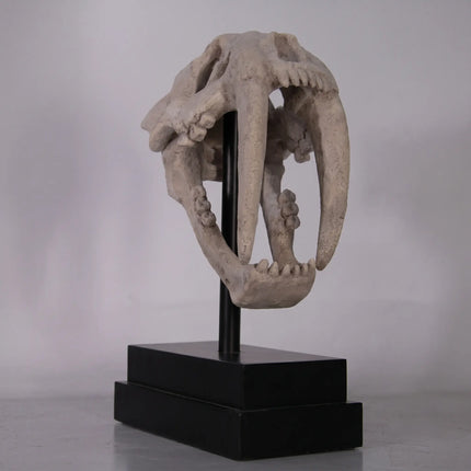Saber Tooth Tiger Skull Life Size Statue LM Treasures - H