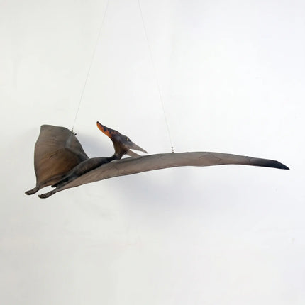 Baby Pteranodon Dinosaur Life Size Statue LM Treasures - H