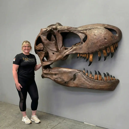 T-Rex Dinosaur Skull Wall Decor Life Size Statue LM Treasures - H