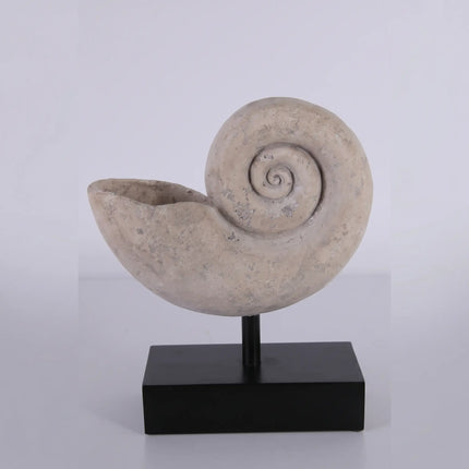 Nautilus Fossil Shell Life Size Statue