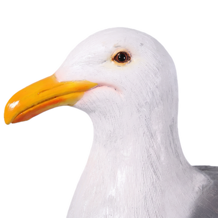 Seagull Life Size Statue LM Treasures - H