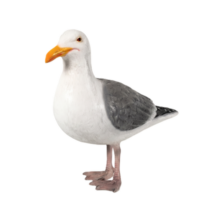 Seagull Life Size Statue LM Treasures - H