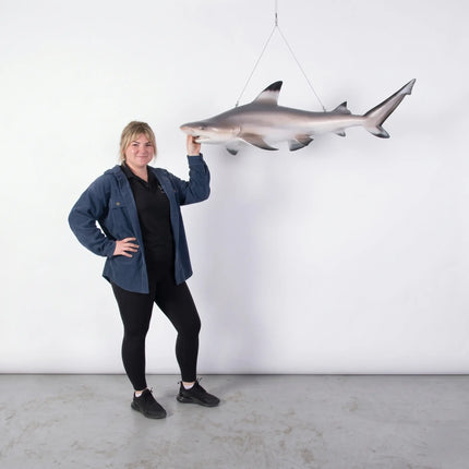 Black Tip Shark Statue LM Treasures - H