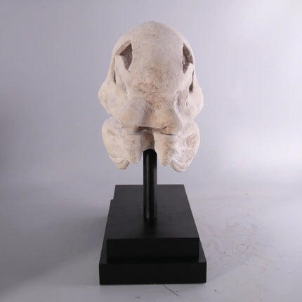 T-Rex Dinosaur Skull Life Size Statue