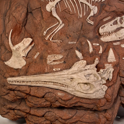Dinosaur Fossil Dig Life Size Statue LM Treasures - H