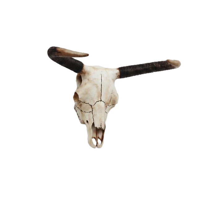Small Bull Skull Life Size Statue LM Treasures - A