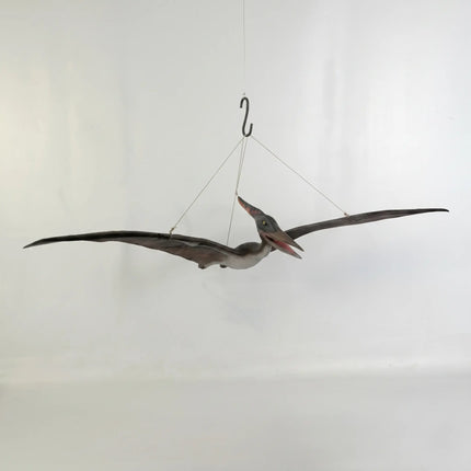 Baby Pteranodon Dinosaur Life Size Statue LM Treasures - H