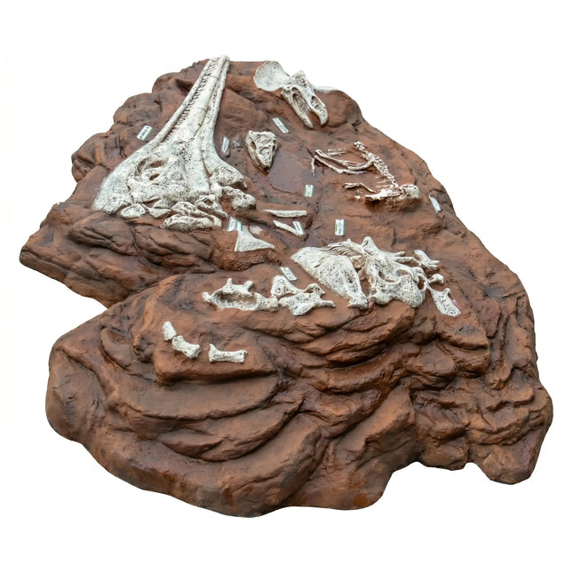 Dinosaur Fossil Dig Life Size Statue LM Treasures - H